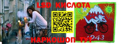 шишки Бузулук