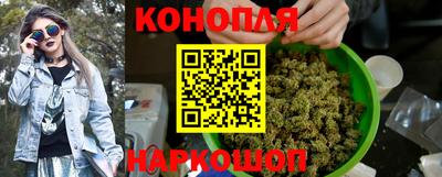 шишки Будённовск