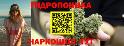 шишки Будённовск