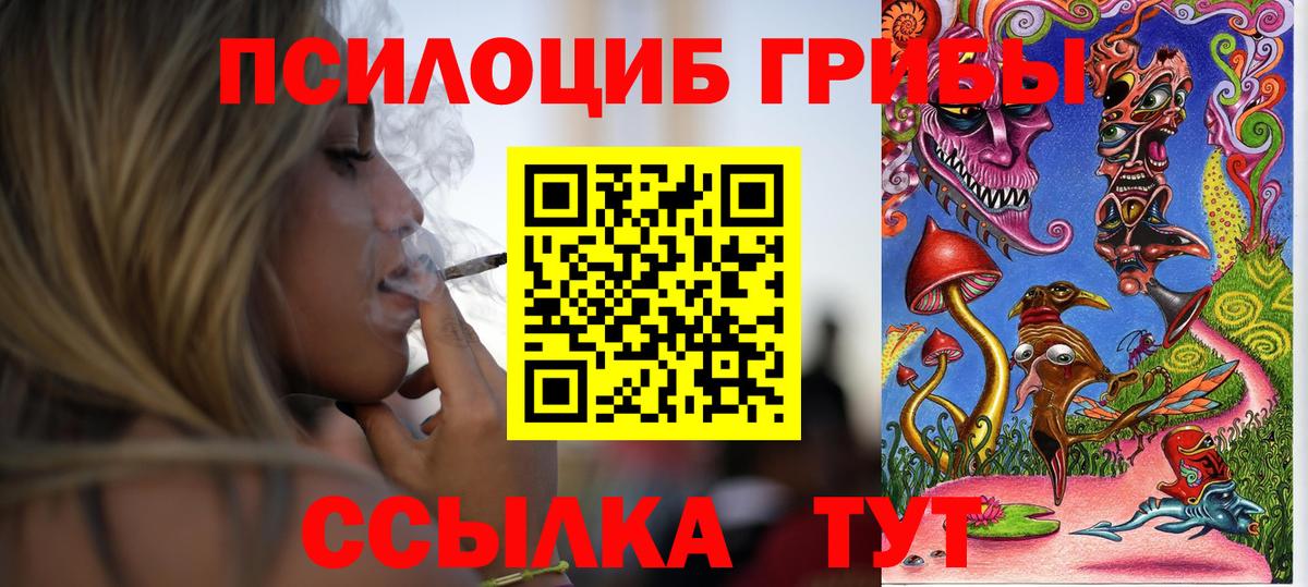 Галлюциногенные грибы мицелий Северск