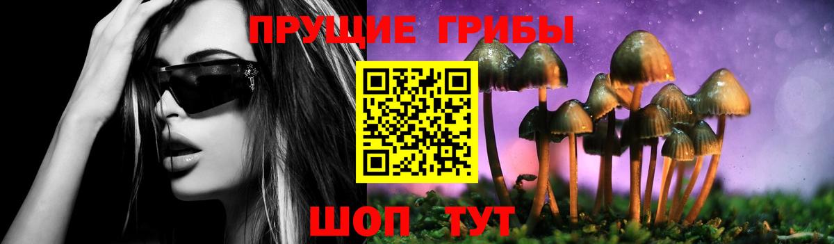 Северск  Галлюциногенные грибы прущие грибы  как найти наркотики  Вход с VPN 