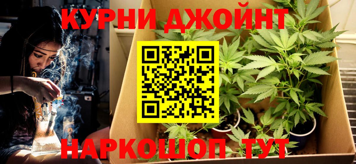 Конопля AK-47 Северск